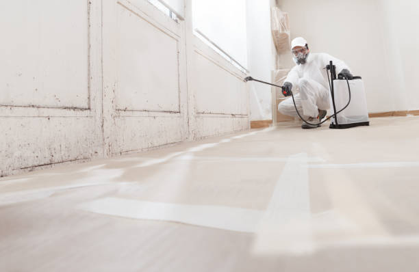 Black mold remediation team in Iselin